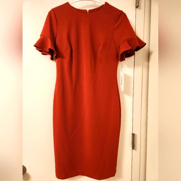 NWT‎ Calvin Klein Ruffle Sleeve Dress - Picture 1 of 7